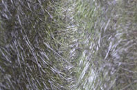 Chaxhill fibreglass roof work